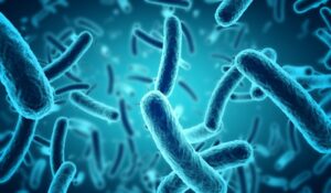 Animated model of bacteria.